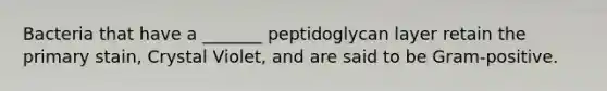 Bacteria that have a _______ peptidoglycan layer retain the primary stain, Crystal Violet, and are said to be Gram-positive.