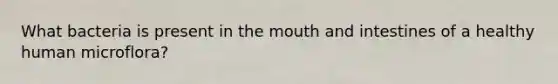 What bacteria is present in the mouth and intestines of a healthy human microflora?