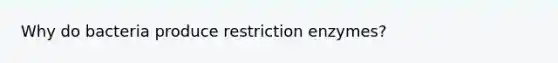 Why do bacteria produce restriction enzymes?