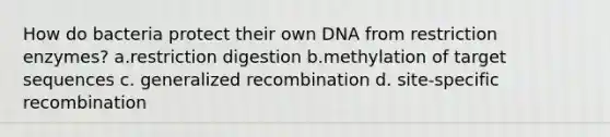 How do bacteria protect their own DNA from restriction enzymes? a.restriction digestion b.methylation of target sequences c. generalized recombination d. site-specific recombination