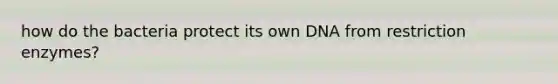 how do the bacteria protect its own DNA from restriction enzymes?