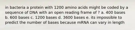 in bacteria a protein with 1200 amino acids might be coded by a sequence of DNA with an open reading frame of ? a. 400 bases b. 600 bases c. 1200 bases d. 3600 bases e. its impossible to predict the number of bases because mRNA can vary in length