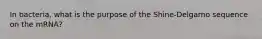 In bacteria, what is the purpose of the Shine-Delgarno sequence on the mRNA?