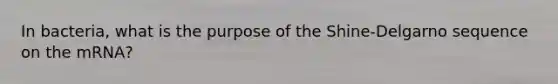 In bacteria, what is the purpose of the Shine-Delgarno sequence on the mRNA?