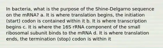 In bacteria, what is the purpose of the Shine-Delgarno sequence on the mRNA? a. It is where translation begins, the initiation (start) codon is contained within it b. It is where transcription begins c. It is where the 16S rRNA component of the small ribosomal subunit binds to the mRNA d. It is where translation ends, the termination (stop) codon is within it