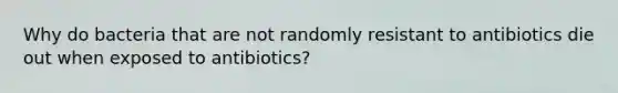 Why do bacteria that are not randomly resistant to antibiotics die out when exposed to antibiotics?