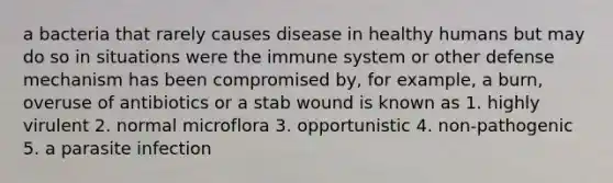 a bacteria that rarely causes disease in healthy humans but may do so in situations were the immune system or other defense mechanism has been compromised by, for example, a burn, overuse of antibiotics or a stab wound is known as 1. highly virulent 2. normal microflora 3. opportunistic 4. non-pathogenic 5. a parasite infection