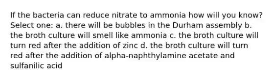 If the bacteria can reduce nitrate to ammonia how will you know? Select one: a. there will be bubbles in the Durham assembly b. the broth culture will smell like ammonia c. the broth culture will turn red after the addition of zinc d. the broth culture will turn red after the addition of alpha-naphthylamine acetate and sulfanilic acid