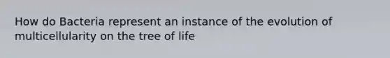 How do Bacteria represent an instance of the evolution of multicellularity on the tree of life