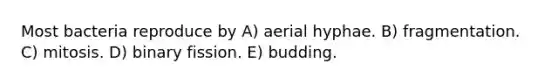 Most bacteria reproduce by A) aerial hyphae. B) fragmentation. C) mitosis. D) binary fission. E) budding.