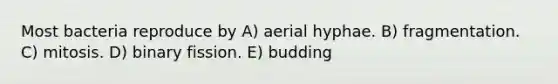 Most bacteria reproduce by A) aerial hyphae. B) fragmentation. C) mitosis. D) binary fission. E) budding