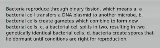 Bacteria reproduce through binary fission, which means a. a bacterial cell transfers a DNA plasmid to another microbe. b. bacterial cells create gametes which combine to form new bacterial cells. c. a bacterial cell splits in two, resulting in two genetically identical bacterial cells. d. bacteria create spores that lie dormant until conditions are right for reproduction.