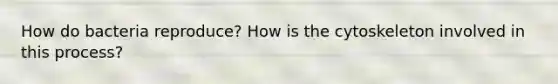 How do bacteria reproduce? How is the cytoskeleton involved in this process?