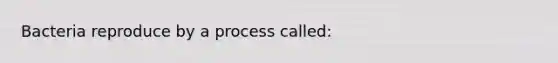 Bacteria reproduce by a process called: