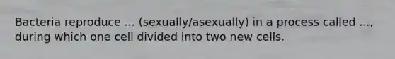 Bacteria reproduce ... (sexually/asexually) in a process called ..., during which one cell divided into two new cells.