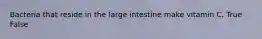 Bacteria that reside in the large intestine make vitamin C. True False