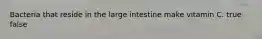 Bacteria that reside in the large intestine make vitamin C. true false