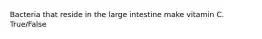 Bacteria that reside in the large intestine make vitamin C. True/False
