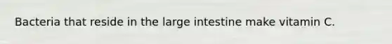 Bacteria that reside in the large intestine make vitamin C.