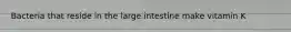 Bacteria that reside in the large intestine make vitamin K