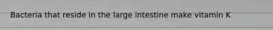 Bacteria that reside in the large intestine make vitamin K