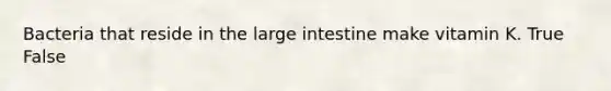 Bacteria that reside in the <a href='https://www.questionai.com/knowledge/kGQjby07OK-large-intestine' class='anchor-knowledge'>large intestine</a> make vitamin K. True False