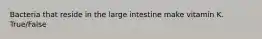 Bacteria that reside in the large intestine make vitamin K. True/False