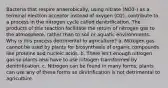 Bacteria that respire anaerobically, using nitrate (NO3-) as a terminal electron acceptor instead of oxygen (O2), contribute to a process in the nitrogen cycle called denitrification. The products of this reaction facilitate the return of nitrogen gas to the atmosphere, rather than to soil or aquatic environments. Why is this process detrimental to agriculture? a. Nitrogen gas cannot be used by plants for biosynthesis of organic compounds like proteins and nucleic acids. b. There isn't enough nitrogen gas so plants also have to use nitrogen transformed by denitrification. c. Nitrogen can be found in many forms; plants can use any of these forms so dinitrification is not detrimental to agriculture.