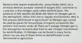 Bacteria that respire anaerobically, using nitrate (NO3-) as a terminal electron acceptor instead of oxygen (02), contribute to a process in the nitrogen cycle called denitrification. The products of this reaction facilitate the return of nitrogen gas to the atmosphere, rather than soil or aquatic environments. Why is this process detrimental to agriculture? A) Nitrogen gas cannot be used by plants for biosynthesis of organic compounds like proteins and nucleic acids. B) There isn't enough nitrogen gas in the atmosphere so plants also have to use nitrogen transformed by denitrification. C) Nitrogen can be found in many forms; plants can use any of these forms so denitrification is not detrimental to agriculture.