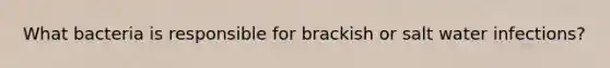 What bacteria is responsible for brackish or salt water infections?