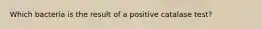 Which bacteria is the result of a positive catalase test?