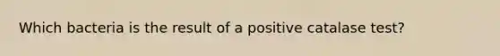 Which bacteria is the result of a positive catalase test?