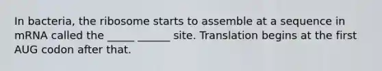 In bacteria, the ribosome starts to assemble at a sequence in mRNA called the _____ ______ site. Translation begins at the first AUG codon after that.