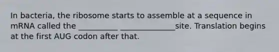 In bacteria, the ribosome starts to assemble at a sequence in mRNA called the __________ ______________site. Translation begins at the first AUG codon after that.