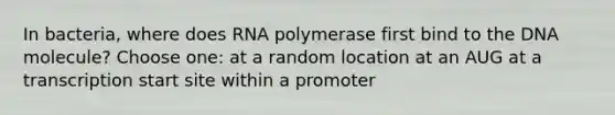 In bacteria, where does RNA polymerase first bind to the DNA molecule? Choose one: at a random location at an AUG at a transcription start site within a promoter