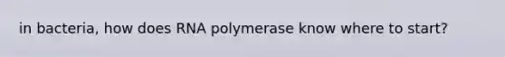 in bacteria, how does RNA polymerase know where to start?