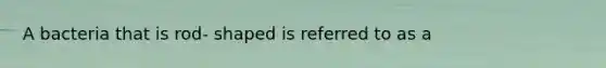 A bacteria that is rod- shaped is referred to as a