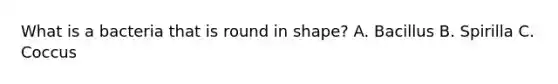 What is a bacteria that is round in shape? A. Bacillus B. Spirilla C. Coccus
