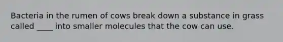 Bacteria in the rumen of cows break down a substance in grass called ____ into smaller molecules that the cow can use.