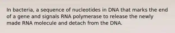 In bacteria, a sequence of nucleotides in DNA that marks the end of a gene and signals RNA polymerase to release the newly made RNA molecule and detach from the DNA.