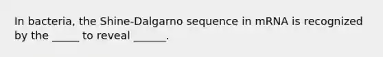 In bacteria, the Shine-Dalgarno sequence in mRNA is recognized by the _____ to reveal ______.