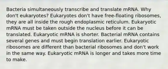 Bacteria simultaneously transcribe and translate mRNA. Why don't eukaryotes? Eukaryotes don't have free-floating ribosomes, they are all inside the rough endoplasmic reticulum. Eukaryotic mRNA must be taken outside the nucleus before it can be translated. Eukaryotic mRNA is shorter. Bacterial mRNA contains several genes and must begin translation earlier. Eukaryotic ribosomes are different than bacterial ribosomes and don't work in the same way. Eukaryotic mRNA is longer and takes more time to make.