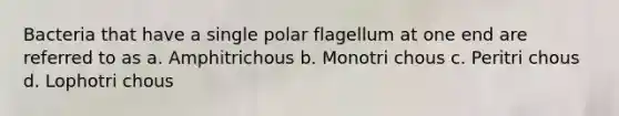 Bacteria that have a single polar flagellum at one end are referred to as a. Amphitrichous b. Monotri chous c. Peritri chous d. Lophotri chous