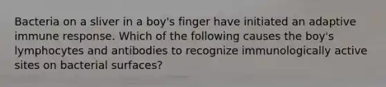 Bacteria on a sliver in a boy's finger have initiated an adaptive immune response. Which of the following causes the boy's lymphocytes and antibodies to recognize immunologically active sites on bacterial surfaces?