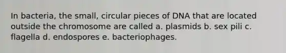 In bacteria, the small, circular pieces of DNA that are located outside the chromosome are called a. plasmids b. sex pili c. flagella d. endospores e. bacteriophages.