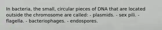 In bacteria, the small, circular pieces of DNA that are located outside the chromosome are called: - plasmids. - sex pili. - flagella. - bacteriophages. - endospores.