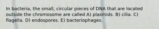 In bacteria, the small, circular pieces of DNA that are located outside the chromosome are called A) plasmids. B) cilia. C) flagella. D) endospores. E) bacteriophages.