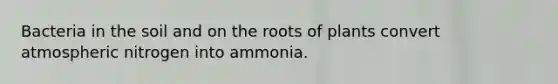 Bacteria in the soil and on the roots of plants convert atmospheric nitrogen into ammonia.