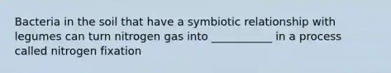 Bacteria in the soil that have a symbiotic relationship with legumes can turn nitrogen gas into ___________ in a process called nitrogen fixation