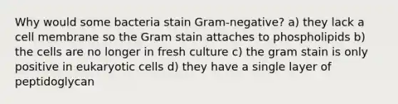 Why would some bacteria stain Gram-negative? a) they lack a cell membrane so the Gram stain attaches to phospholipids b) the cells are no longer in fresh culture c) the gram stain is only positive in eukaryotic cells d) they have a single layer of peptidoglycan